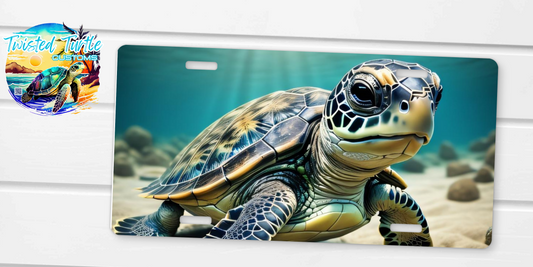 Sea Turtle Underwater License Plate